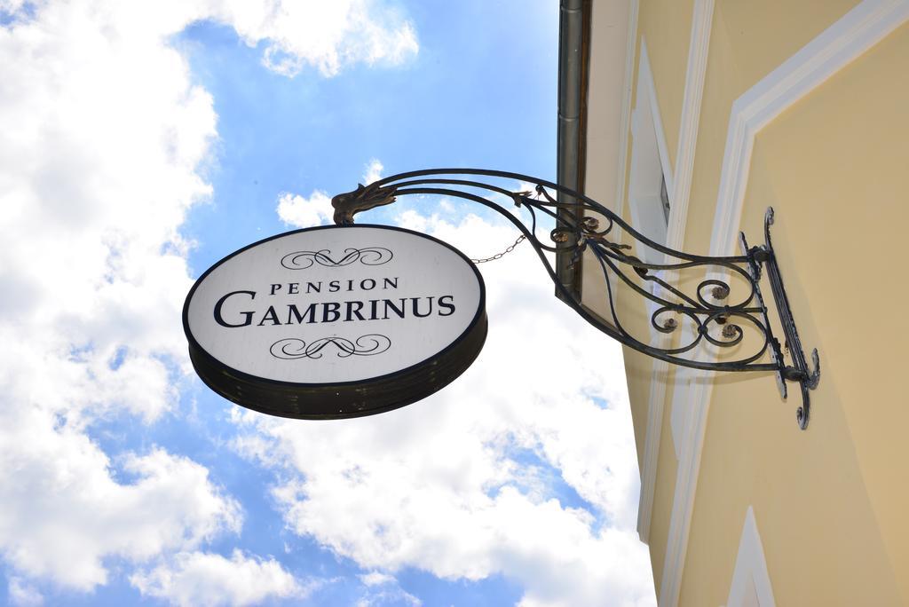 Guest house Gambrinus 3*